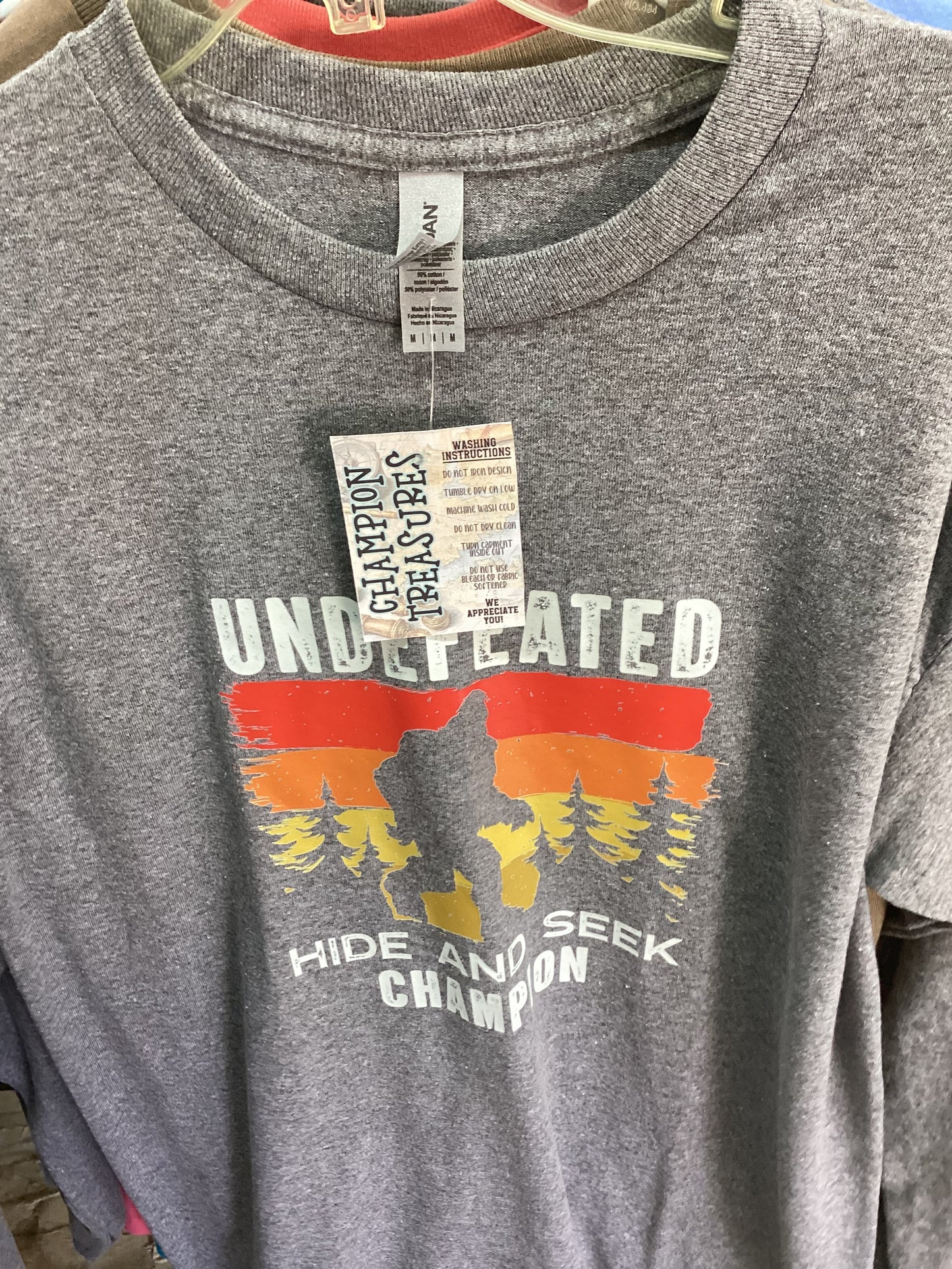 Hide and Seek Champion