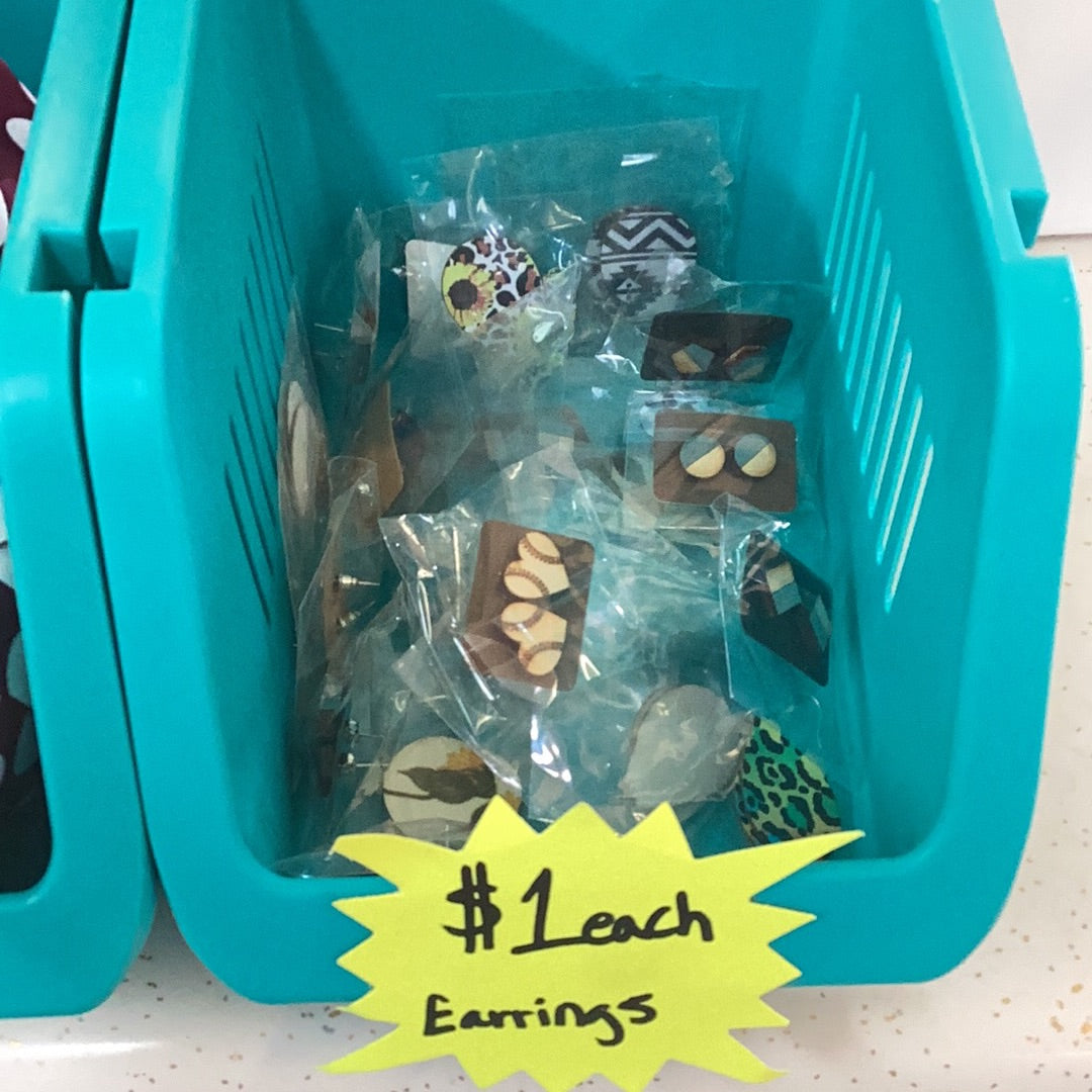 Earrings