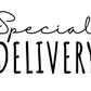 Special Delivery Flowers